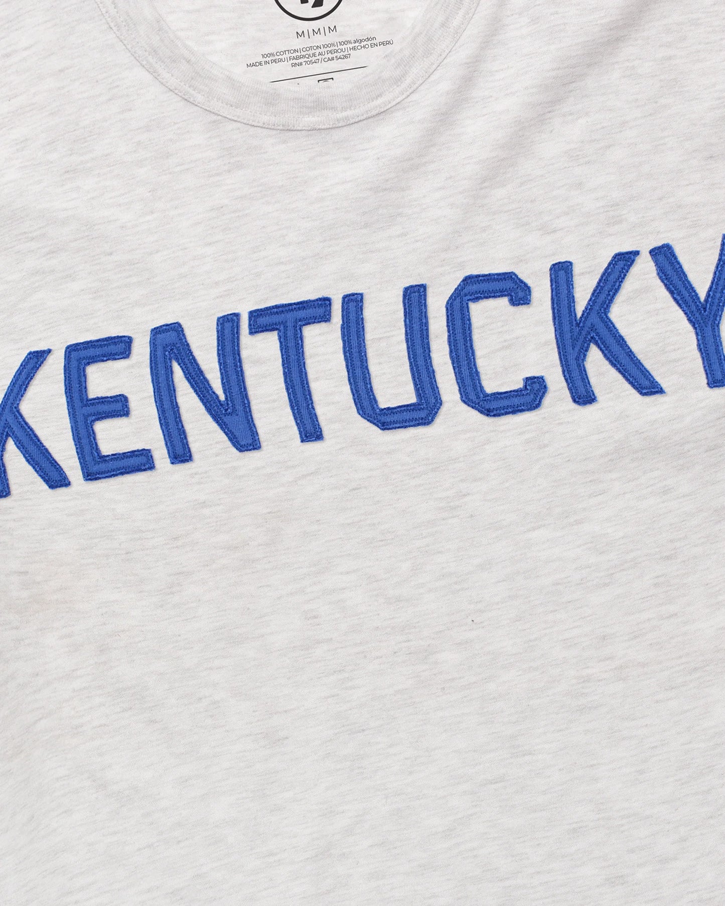 KENTUCKY WILDCATS VINTAGE '47 FRANKLIN FIELDHOUSE TEE