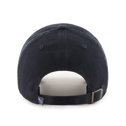 CHARLOTTE HORNETS '47 CLEAN UP