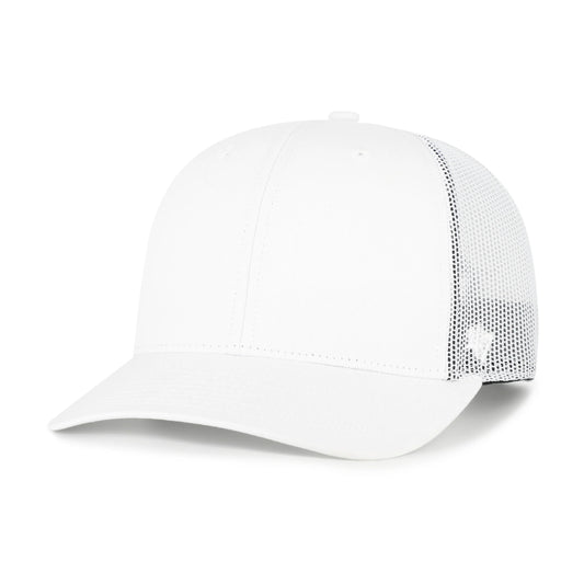 '47 BASICS TRUCKER