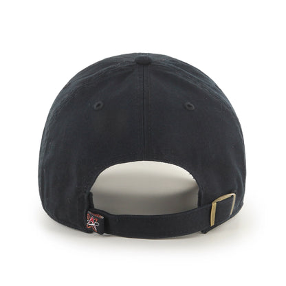 ALBUQUERQUE ISOTOPES '47 CLEAN UP