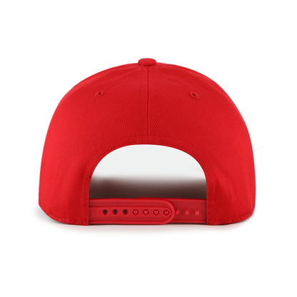 DETROIT RED WINGS '47 HITCH