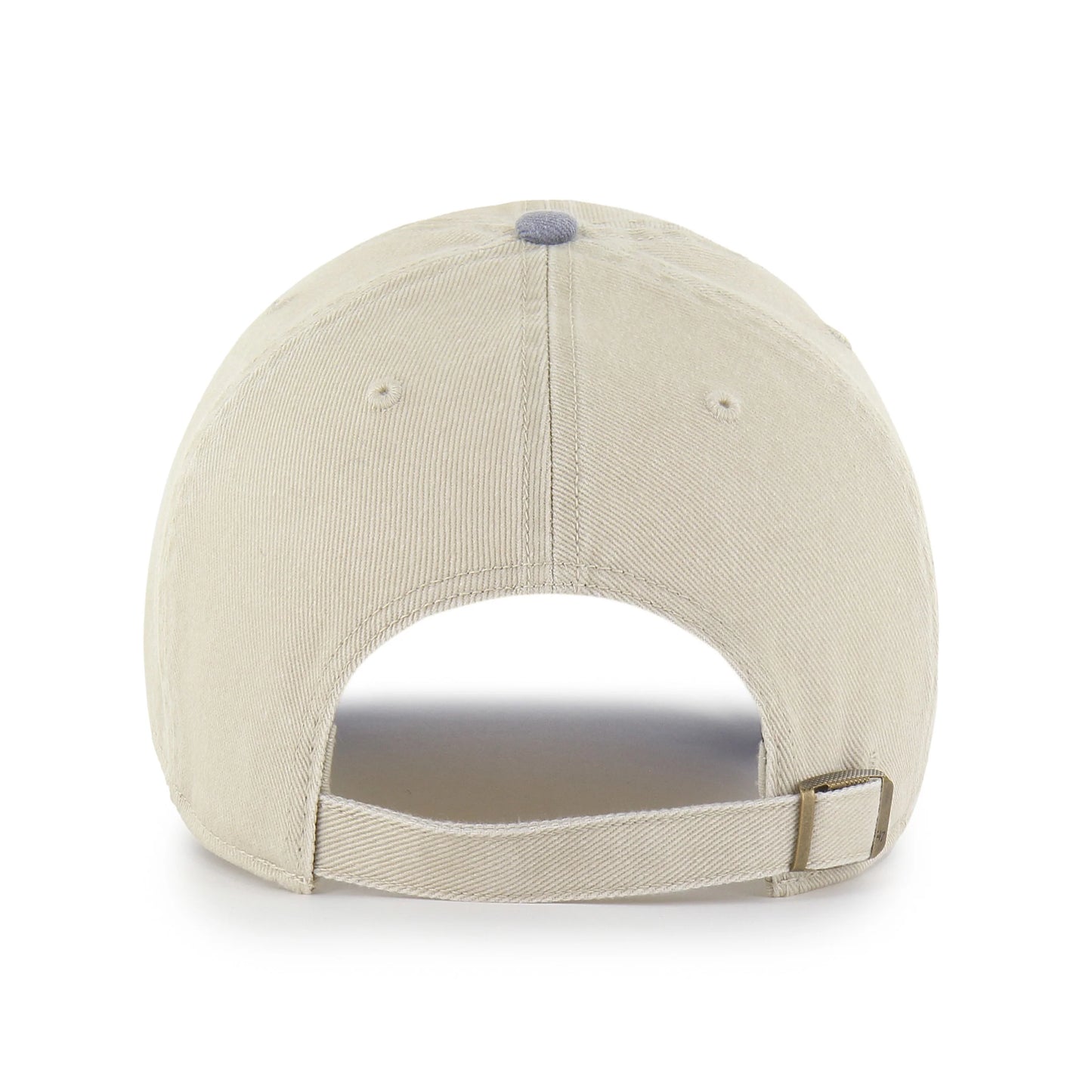 Michigan Wolverines Logo Line Two Tone '47 Clean Up