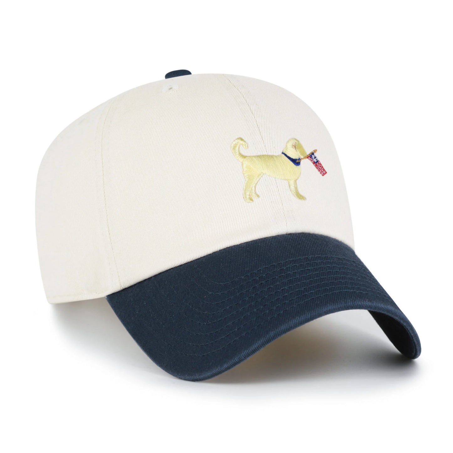 Goldendoodle Two Tone '47 Clean Up