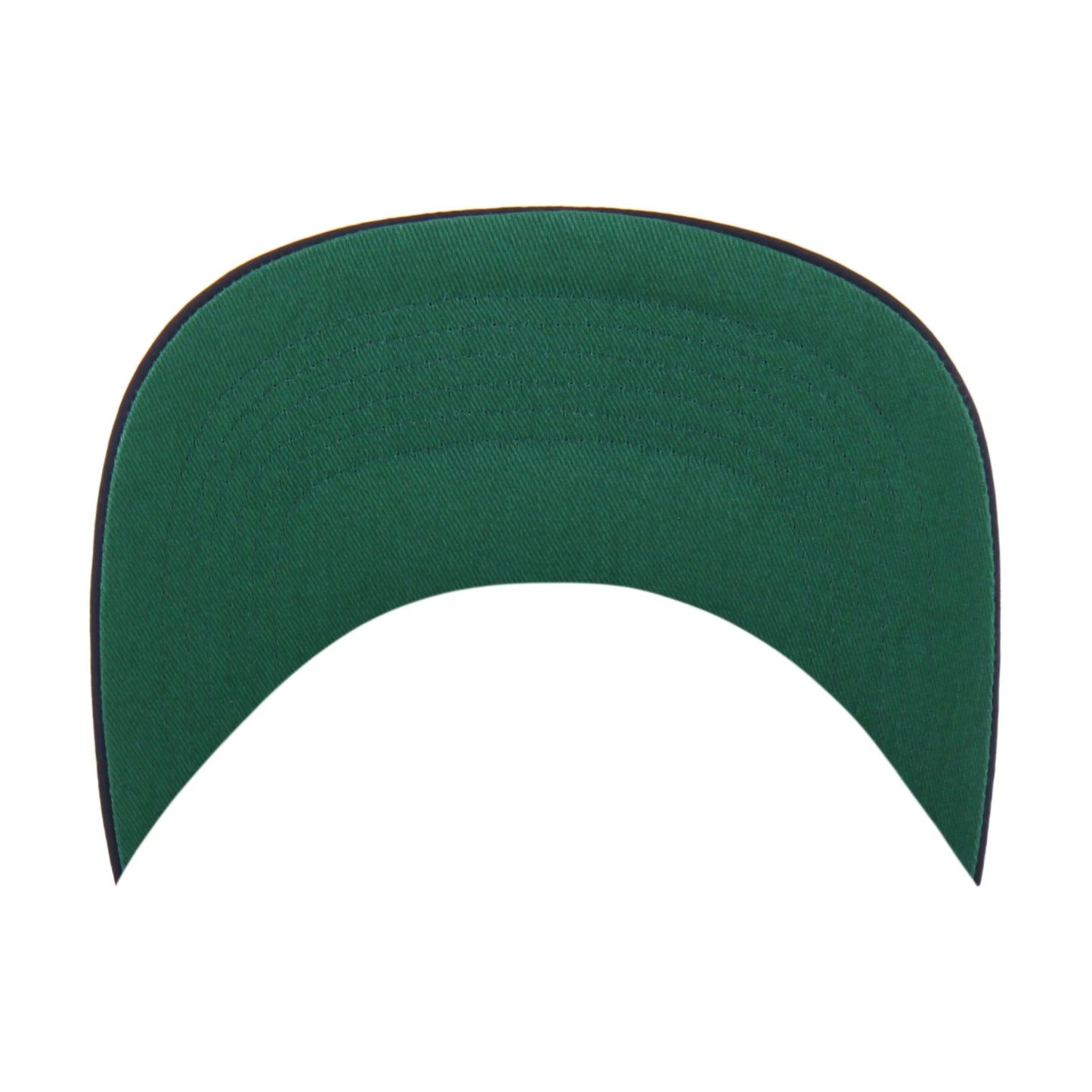 MINNESOTA TWINS FRAME OUT NYLON '47 HITCH