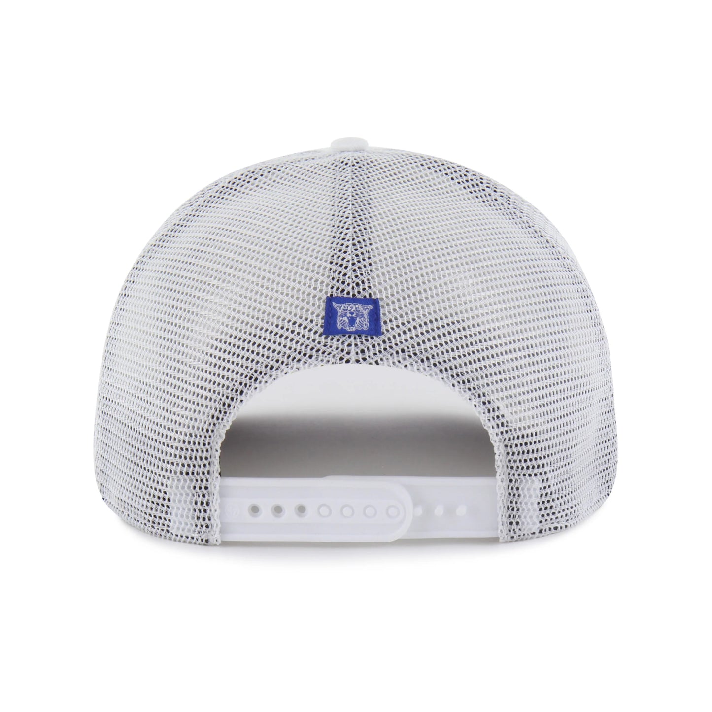 Kentucky Wildcats Vintage Flock Ball '47 Hitch