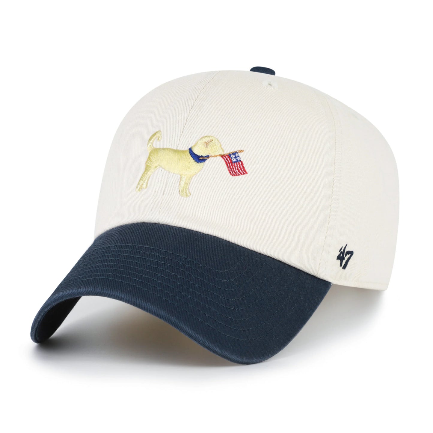Goldendoodle Two Tone '47 Clean Up