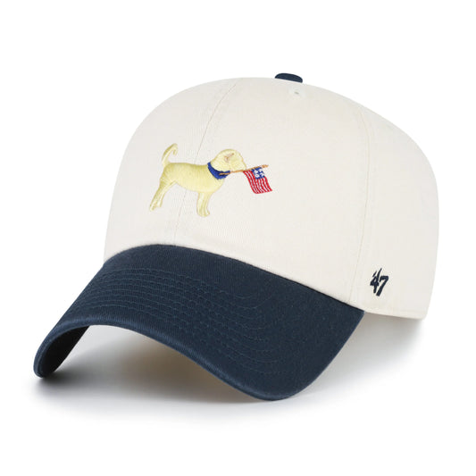 Goldendoodle Two Tone '47 Clean Up